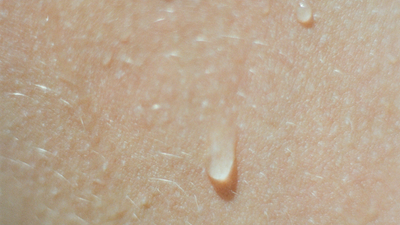 Deepen Your Gua Sha Practice: Clinical Insights for Advanced Home Use – Part 2